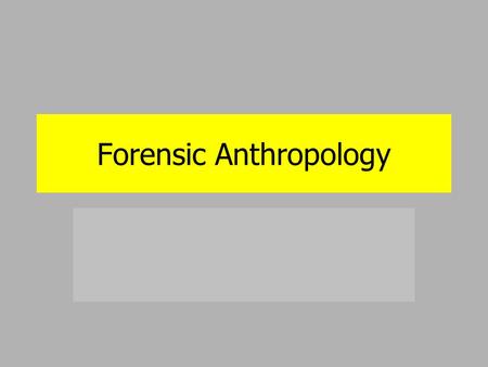 Forensic Anthropology