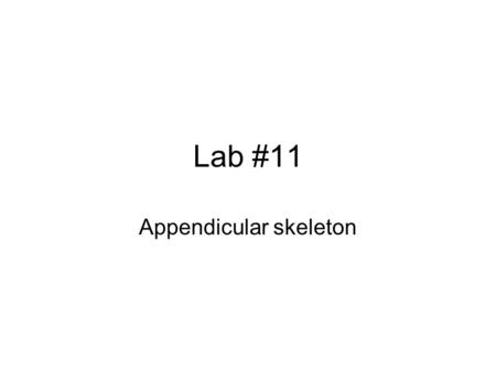 Appendicular skeleton