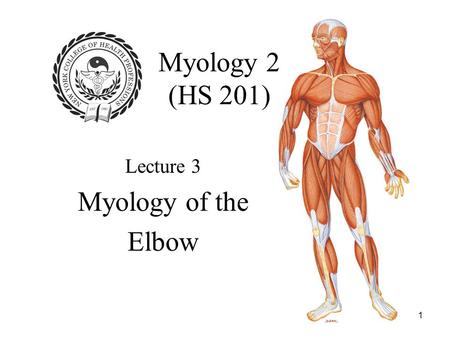 Myology 2 (HS 201) Lecture 3 Myology of the Elbow.