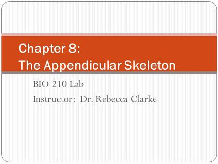 Chapter 8: The Appendicular Skeleton