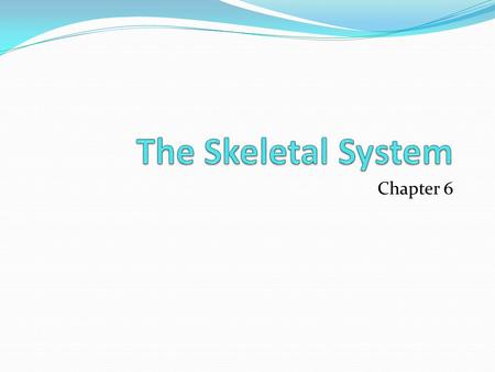 The Skeletal System Chapter 6.