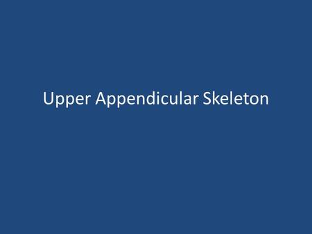 Upper Appendicular Skeleton