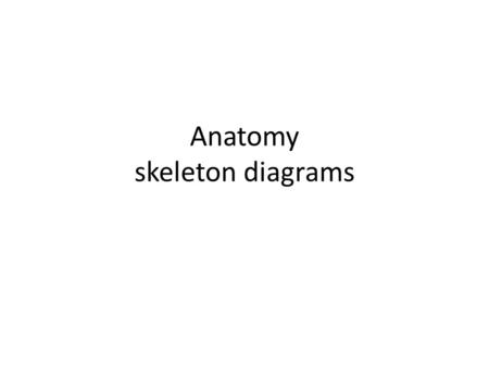 Anatomy skeleton diagrams