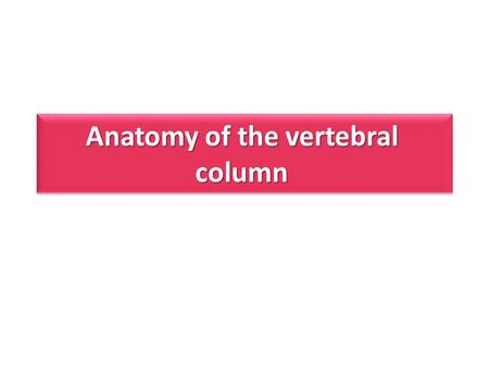 Anatomy of the vertebral column