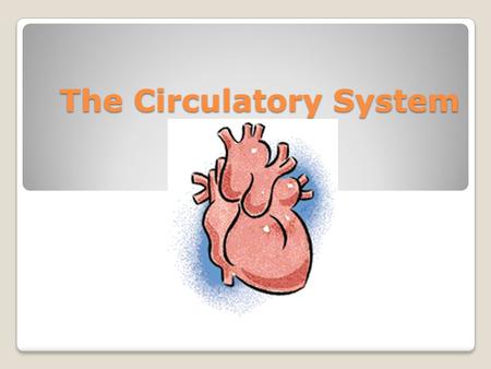 The Circulatory System