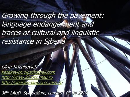 Growing through the pavement: language endangerment and traces of cultural and linguistic resistance in Siberia Olga Kazakevich