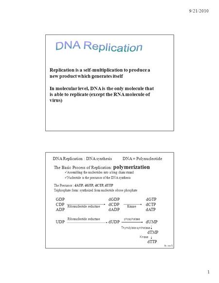 9/21/2010 Replication is a self-multiplication to produce a new product which generates itself In molecular level, DNA is the only molecule that is able.