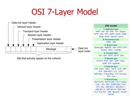 OSI 7-Layer Model. Implementation of UDP and TCP CS587x Lecture 2 Department of Computer Science Iowa State University.