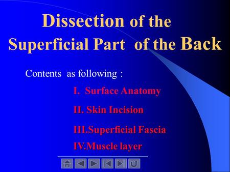 Dissection of the Superficial Part of the Back