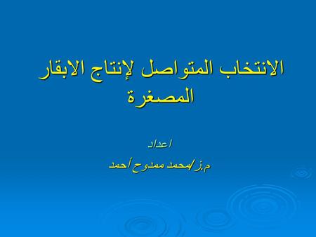 الانتخاب المتواصل لإنتاج الابقار المصغرة اعداد م.ز/محمد ممدوح أحمد.