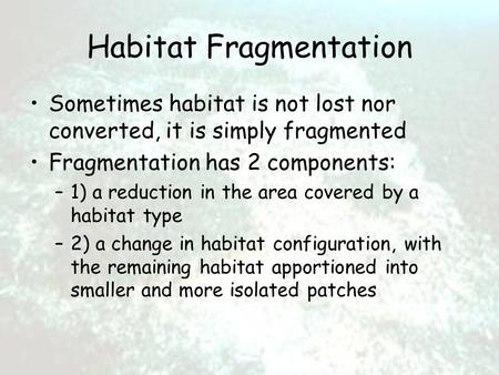 Habitat Fragmentation Sometimes habitat is not lost nor converted, it is simply fragmented Fragmentation has 2 components: –1) a reduction in the area.