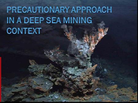 Outline What is the precautionary principle? Precautionary principle in the context of DSM Obligation to apply the precautionary approach Precautionary.