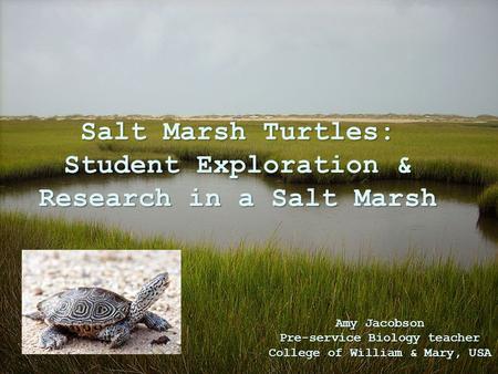 Salt Marsh Turtles: Student Exploration & Research in a Salt Marsh Amy Jacobson Pre-service Biology teacher College of William & Mary, USA.