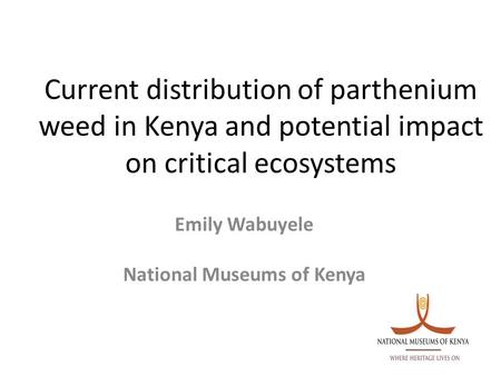 Current distribution of parthenium weed in Kenya and potential impact on critical ecosystems Emily Wabuyele National Museums of Kenya.