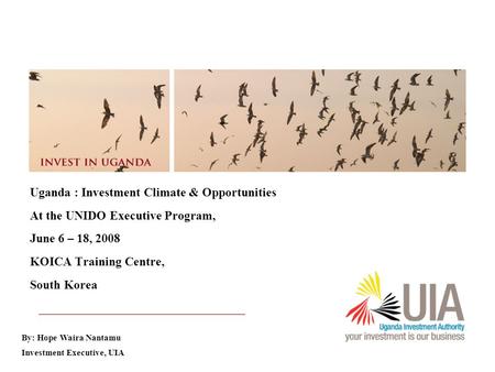 Uganda Investment Authority 1 Uganda : Investment Climate & Opportunities At the UNIDO Executive Program, June 6 – 18, 2008 KOICA Training Centre, South.