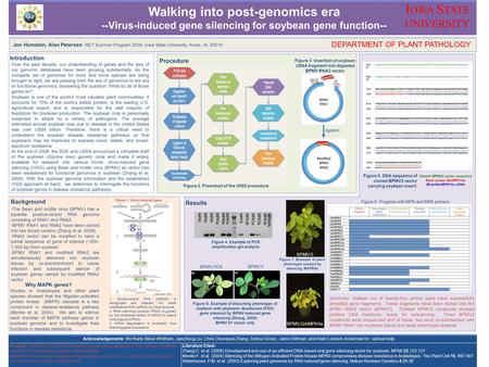 Acknowledgements: We thank Steve Whitham, Jianzhong Liu, Chris Chunquan Zhang, Sehiza Grosic, Jaime Dittman, and Adah Leshem-Ackerman for various help.