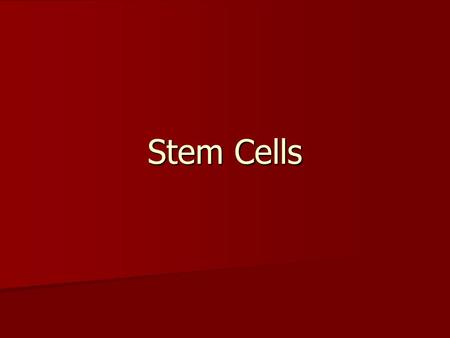 Stem Cells.