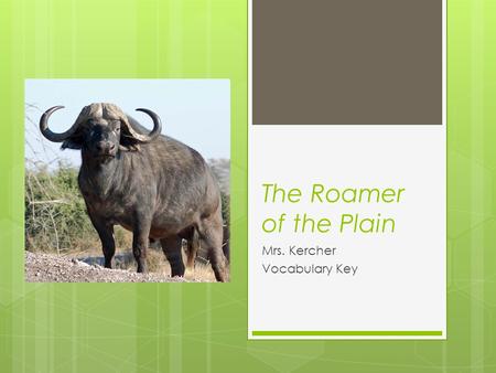 The Roamer of the Plain Mrs. Kercher Vocabulary Key.