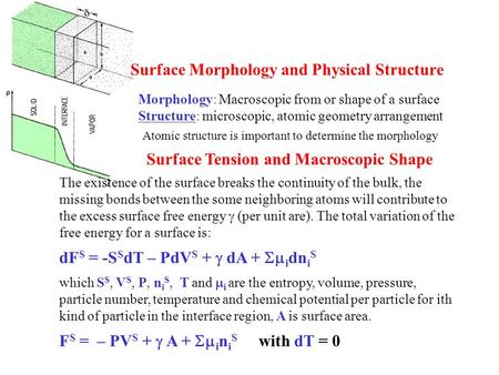 Surface Morphology and Physical Structure