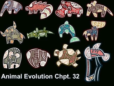 Animal Evolution Chpt. 32. Multicellular Multicellular Heterotrophic digest within body.