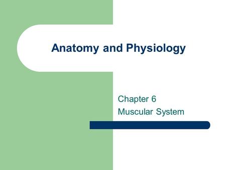 Anatomy and Physiology