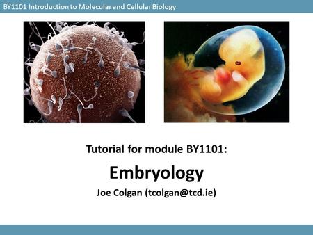 Tutorial for module BY1101: Joe Colgan