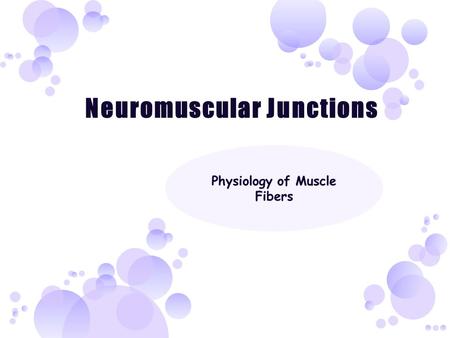 This will eventually lead to a muscle contraction if the stimulus is above the threshold.