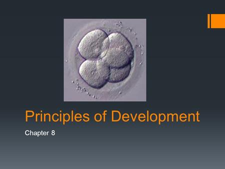 Principles of Development