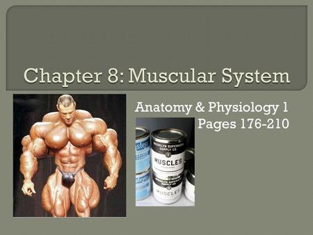 Anatomy & Physiology 1 Pages 176-210. 1. Calat- = something inserted 2. Erg- = work 3. Hyper- = over, more 4. Inter- = between 5. Laten- = hidden 6. Myo-