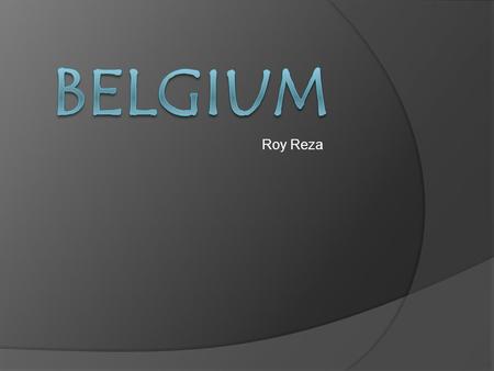 Roy Reza Belgium flag Belgium map Facts Belgium is a hereditary constitutional monarchy. The current monarch is King Albert II, who took the oath of.