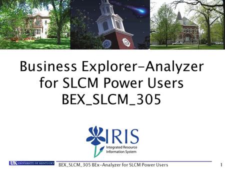 Business Explorer-Analyzer for SLCM Power Users BEX_SLCM_305