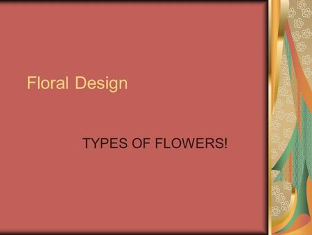 Floral Design TYPES OF FLOWERS!.