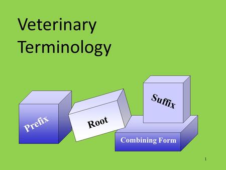 1 Prefix Combining Form Root Suffix Veterinary Terminology.