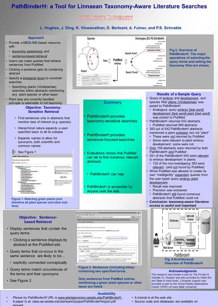 PathBinderH: a Tool for Linnaean Taxonomy-Aware Literature Searches L. Hughes, J. Ding, K. Viswanathan, D. Berleant, A. Fulmer, and P.S. Schnable Fig 3.