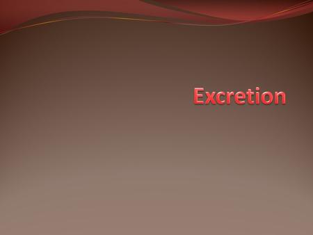 Human Excretion Excretion – process of removing waste substances produce by the metabolic processes from the body. Waste substance left in the body.