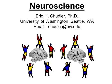 Neuroscience Eric H. Chudler, Ph.D. University of Washington, Seattle, WA