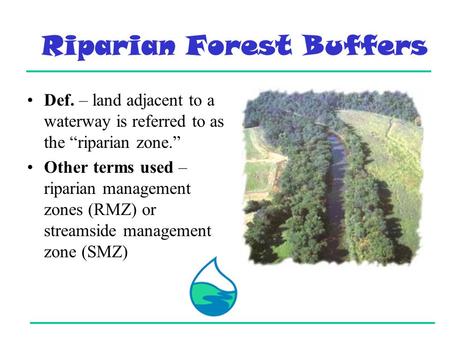 Riparian Forest Buffers Def. – land adjacent to a waterway is referred to as the “riparian zone.” Other terms used – riparian management zones (RMZ) or.