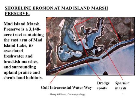 Harry Williams, Geomorphology1 SHORELINE EROSION AT MAD ISLAND MARSH PRESERVE. Mad Island Marsh Preserve is a 3,148- acre tract containing the east arm.