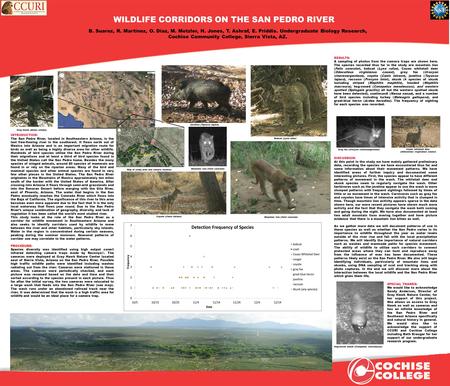 WILDLIFE CORRIDORS ON THE SAN PEDRO RIVER B. Suarez, R. Martinez, O. Diaz, M. Metzler, H. Jones, T. Ashraf, E. Priddis. Undergraduate Biology Research,