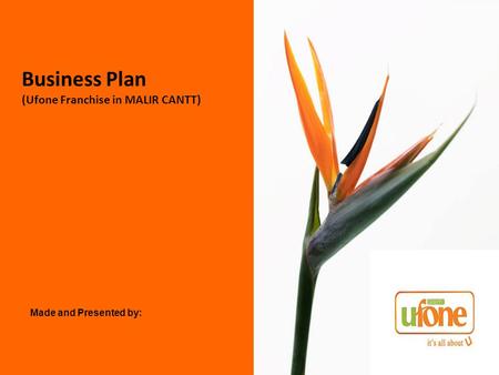 Business Plan (Ufone Franchise in MALIR CANTT)