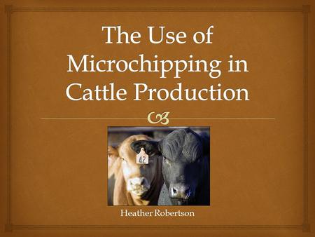 Heather Robertson.   It is an identifying integrated circuit placed under the skin of an animal. The chips are about the size of a lager grain of rice.