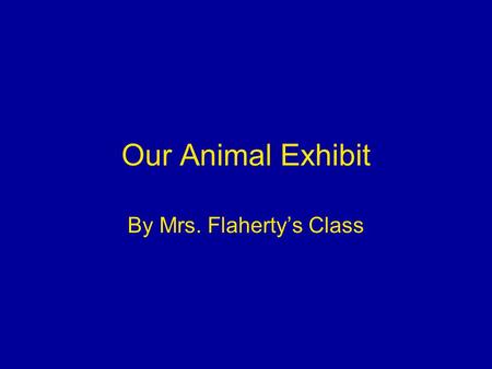 Our Animal Exhibit By Mrs. Flaherty’s Class. Appaloosa Horse by Sabrina This is an Appaloosa horse. It can be 14 to 16 hands tall and weighs 1,100 pounds.