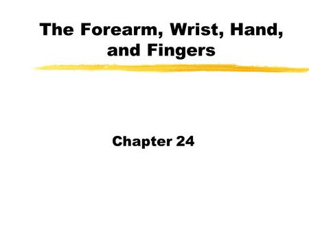 The Forearm, Wrist, Hand, and Fingers Chapter 24.