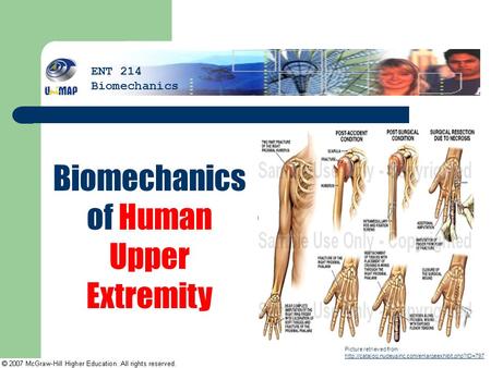 Biomechanics of Human Upper Extremity