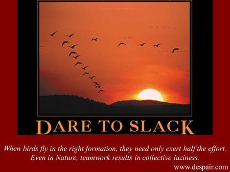 When birds fly in the right formation, they need only exert half the effort. Even in Nature, teamwork results in collective laziness. www.despair.com.