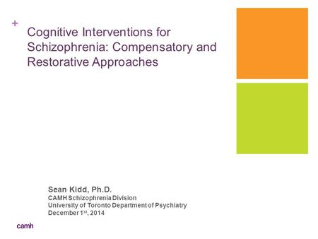 Sean Kidd, Ph.D. CAMH Schizophrenia Division