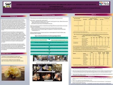 STUDIES ON CULTIVATION OF THE EDIBLE INDIGENOUS MUSHROOMS GROWN ON DIFFERENT AGRO-RESIDUES NAKALEMBE IMMACULATE SCHOOL OF BISECURITY, BIOTECHNICAL AND.