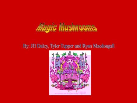 History 7000-9000 years ago in the Sahara desert is the z back scientists can trace the use of magic mushrooms or shroomz. Even though they can only trace.