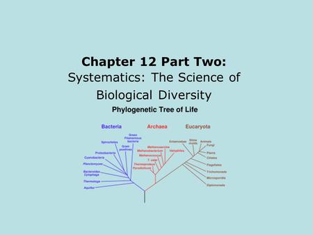 Chapter 12 Part Two: Systematics: The Science of Biological Diversity.