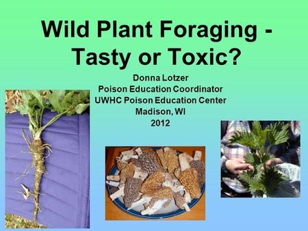 Wild Plant Foraging - Tasty or Toxic? Donna Lotzer Poison Education Coordinator UWHC Poison Education Center Madison, WI 2012.